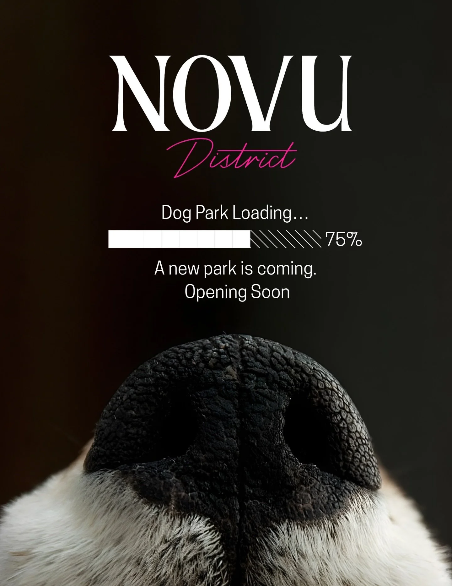 University Heights&hellip; something is loading.

NOVU District &times; Gomes Group are working behind the scenes on a new space designed for community, connection, and our four-legged friends.

We&rsquo;re almost ready.

Stay tuned. 🐾