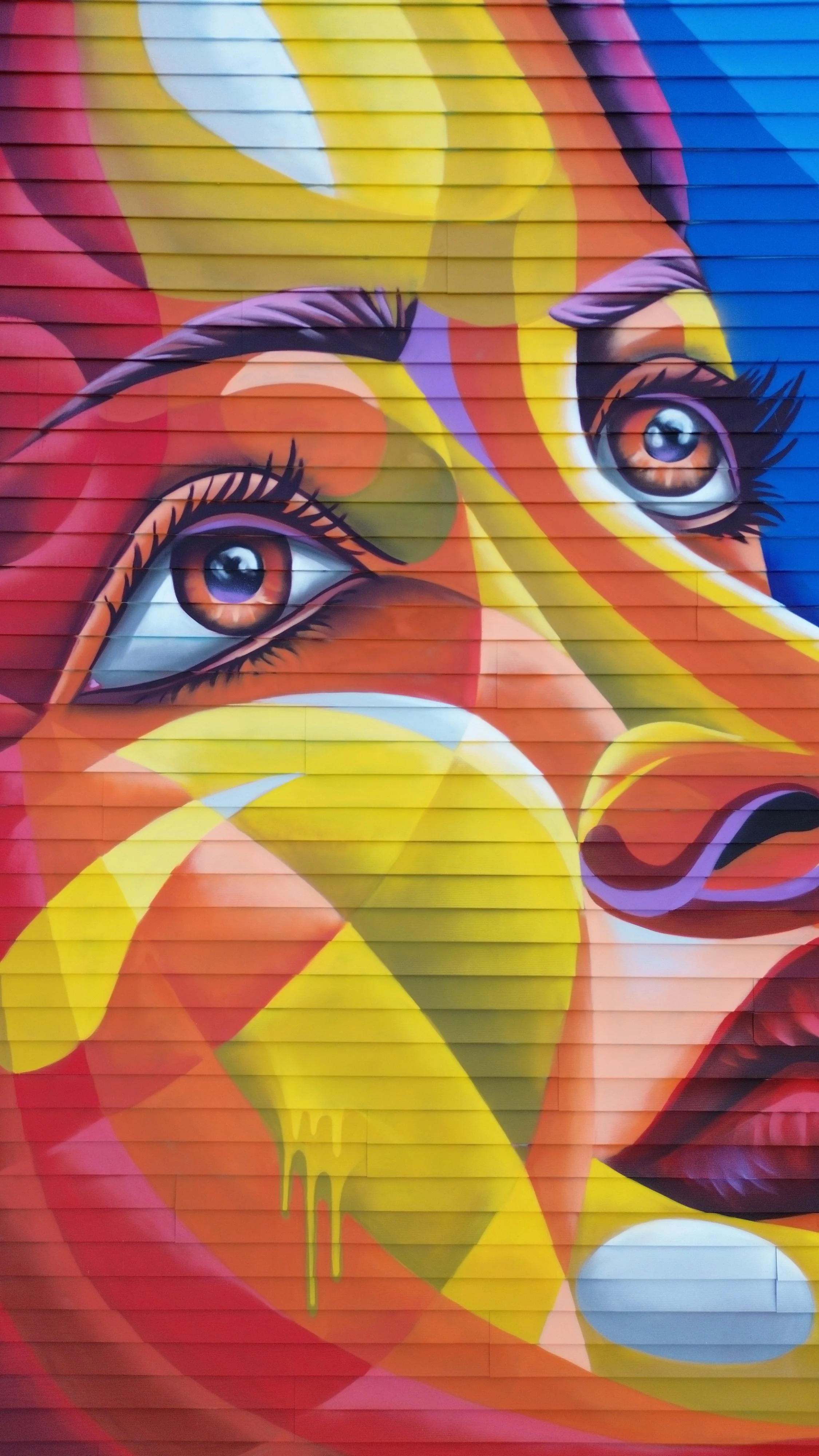 Copy of DJI_0172.JPG