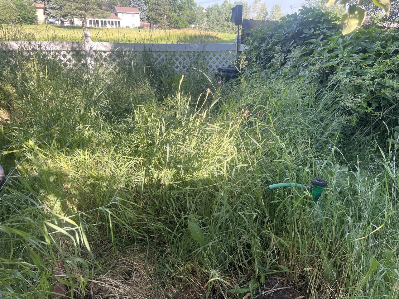 Garden bed weeding before