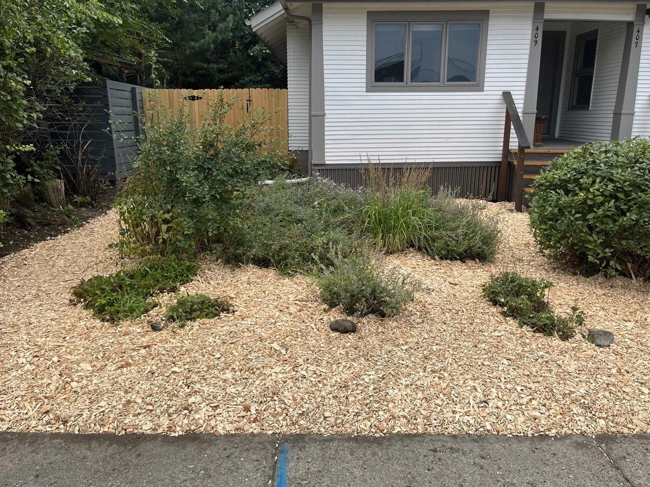 Front garden refresh after