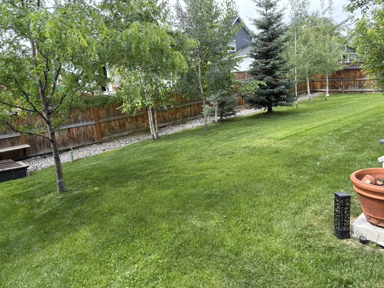 Lawn care project 1