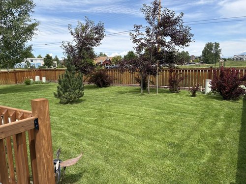 Landscaped yard ready for seasonal care