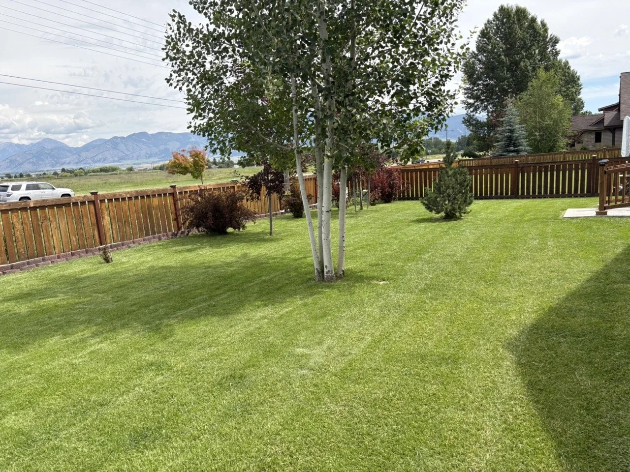Lawn care project 4