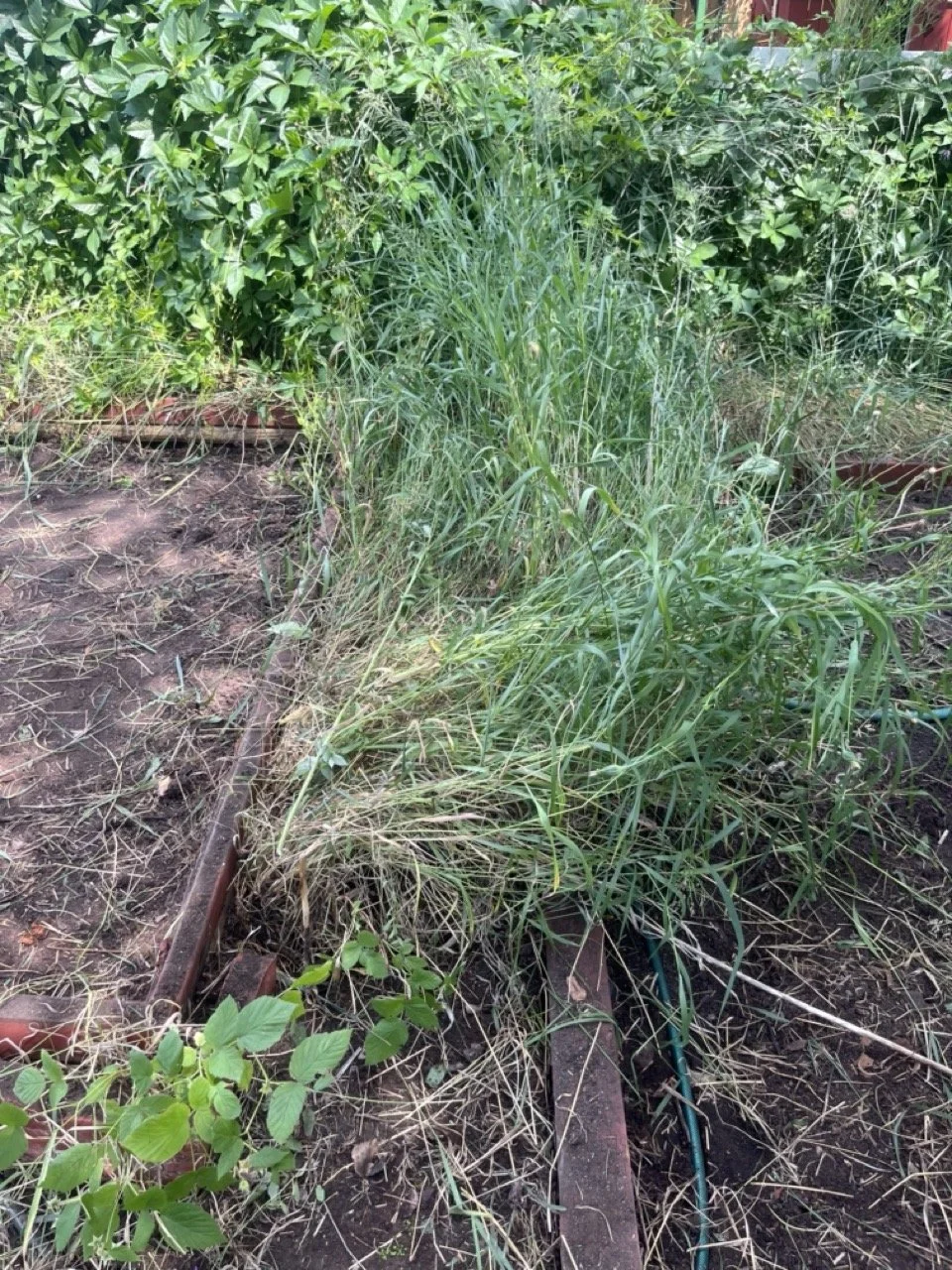 Pathway cleanup before