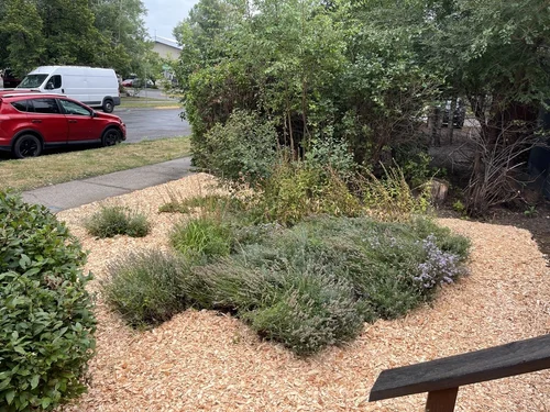 Residential landscaping project