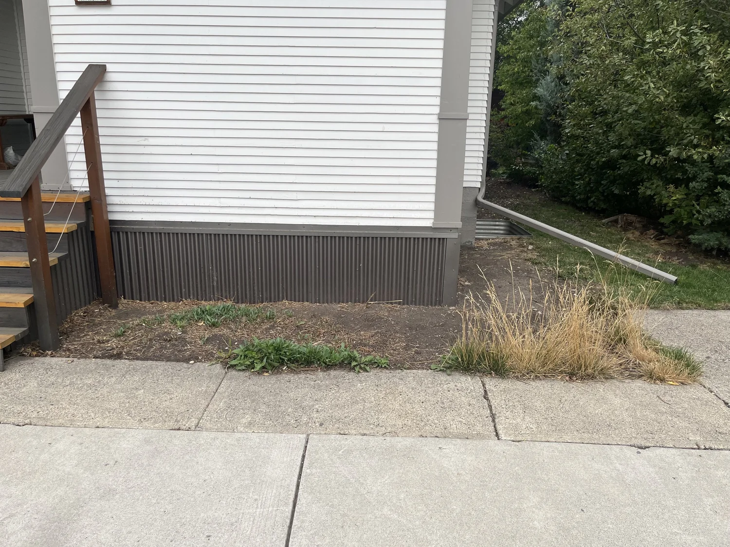 Side garden bed before