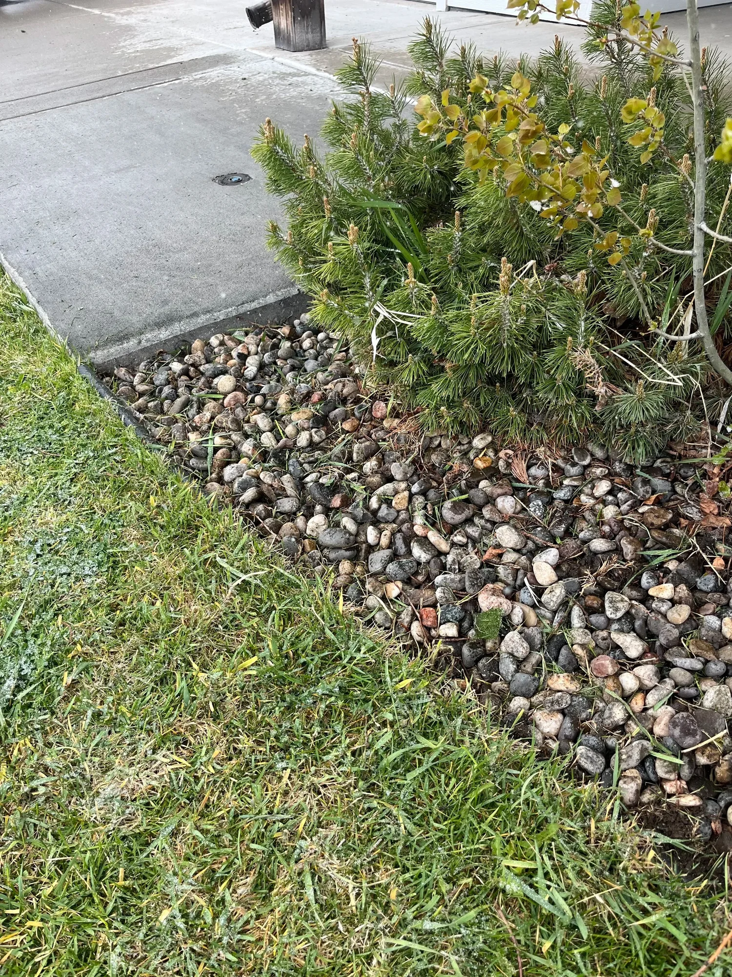 Garden cleanup after