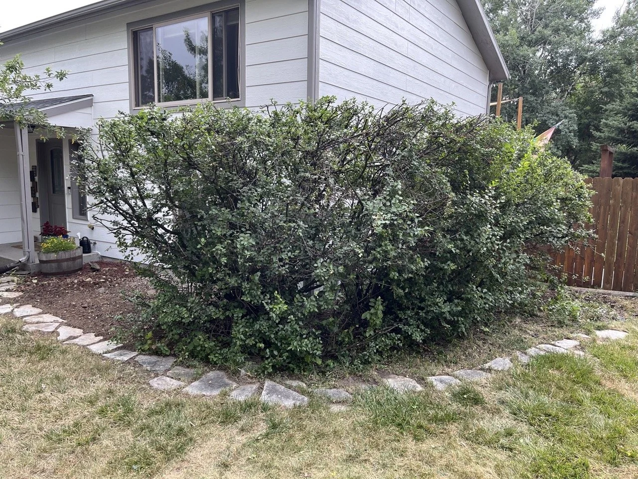 Tree trimming after