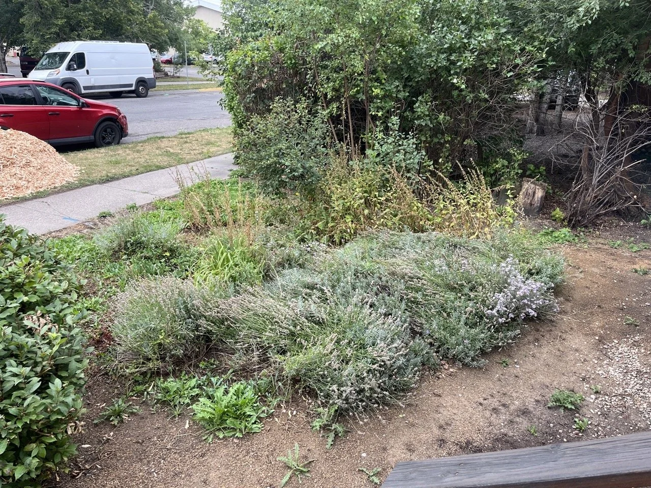 Mulch bed renewal before