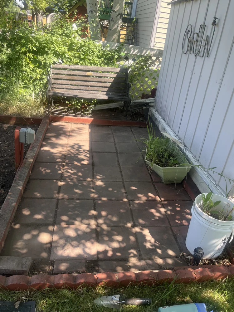 Clean residential patio and landscaping