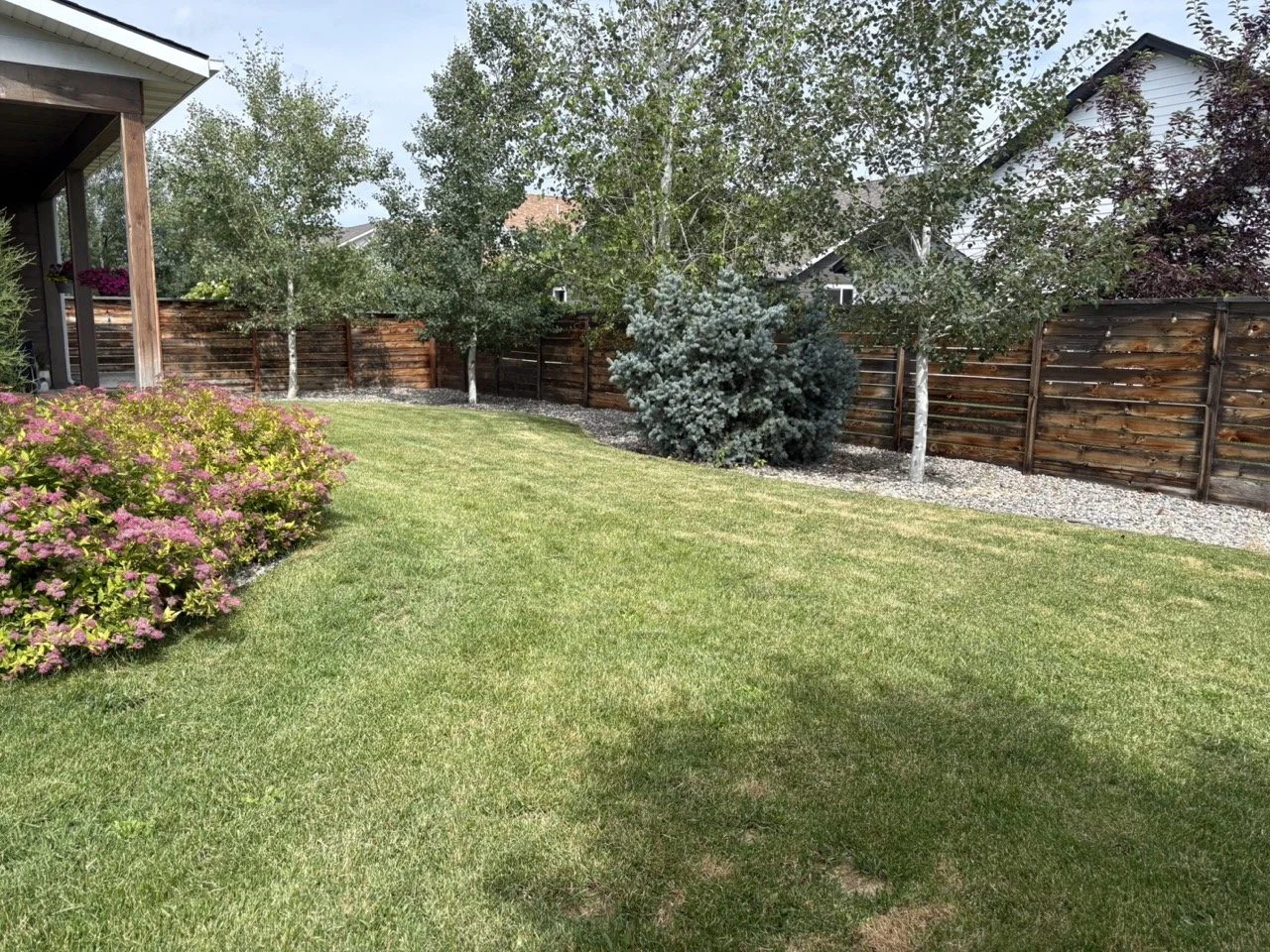 Lawn care project 2