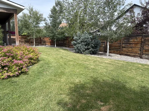 Healthy residential turf