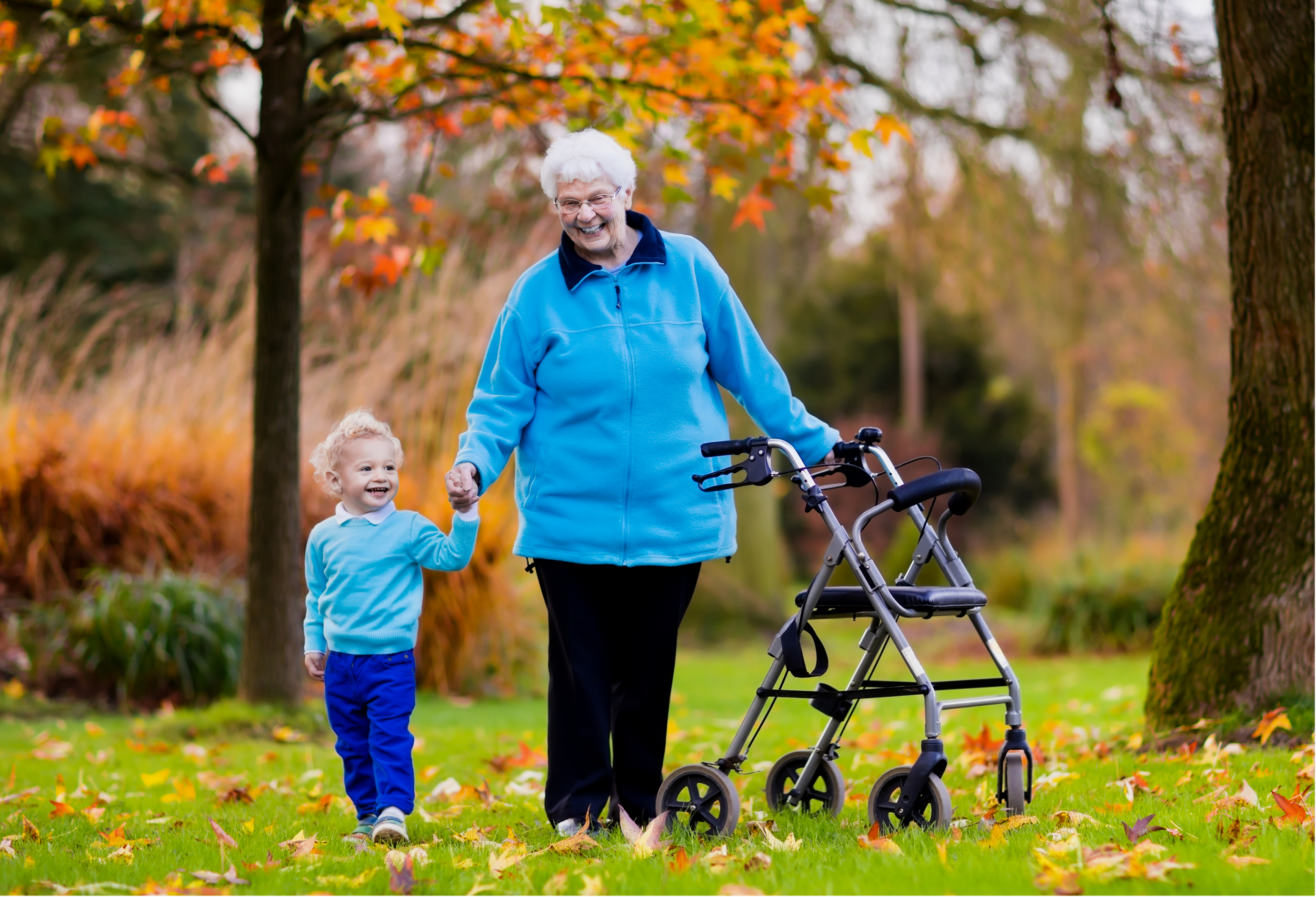 An elderly woman with white hair wearing a blue jacket walking outside with a young boy holding her hand, with an autumn scenery of colorful trees and fallen leaves, and a walker nearby.