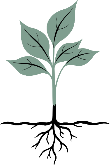 Illustration of a plant with multiple green leaves on a black background.