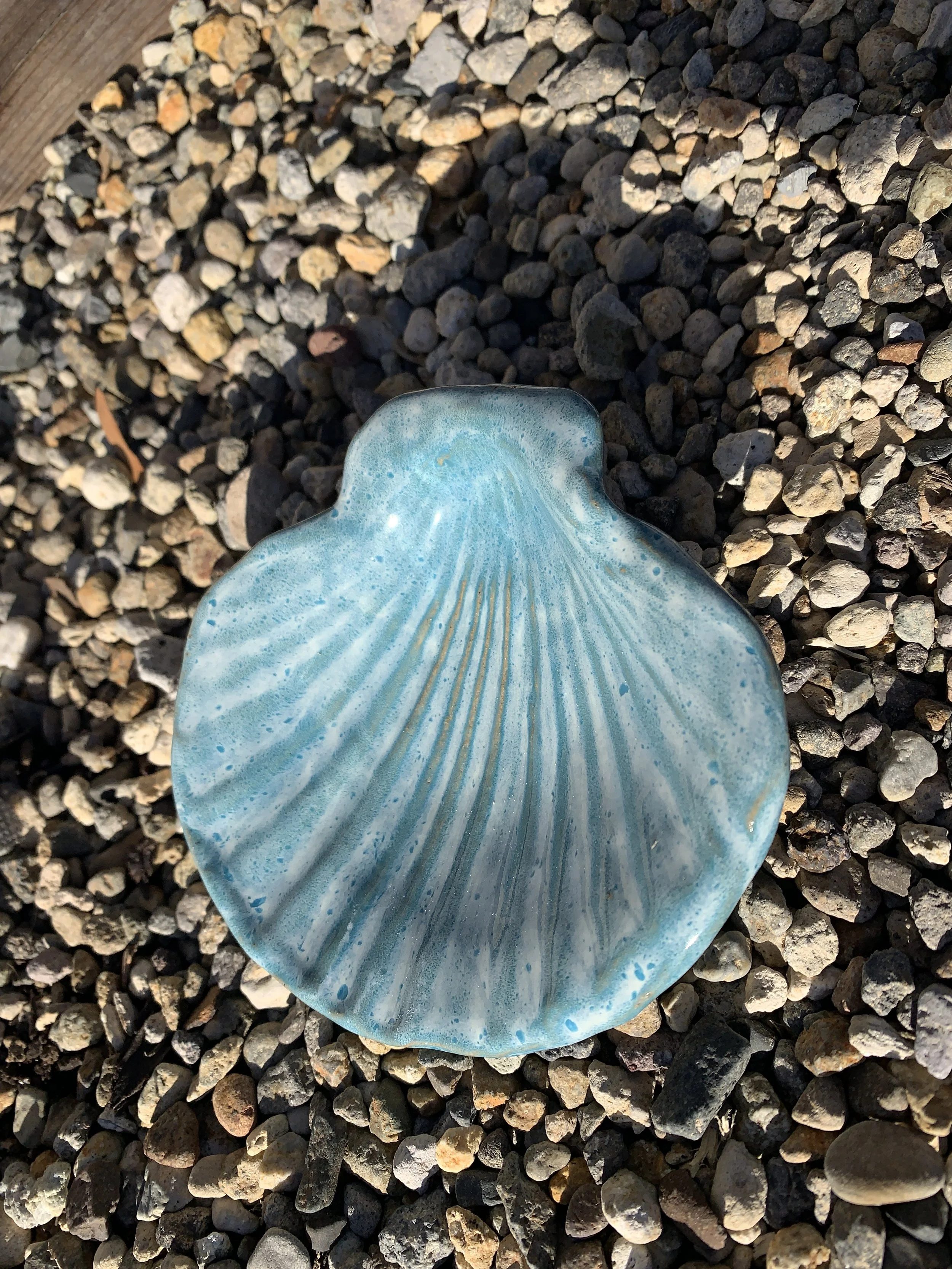 Shell Bowls