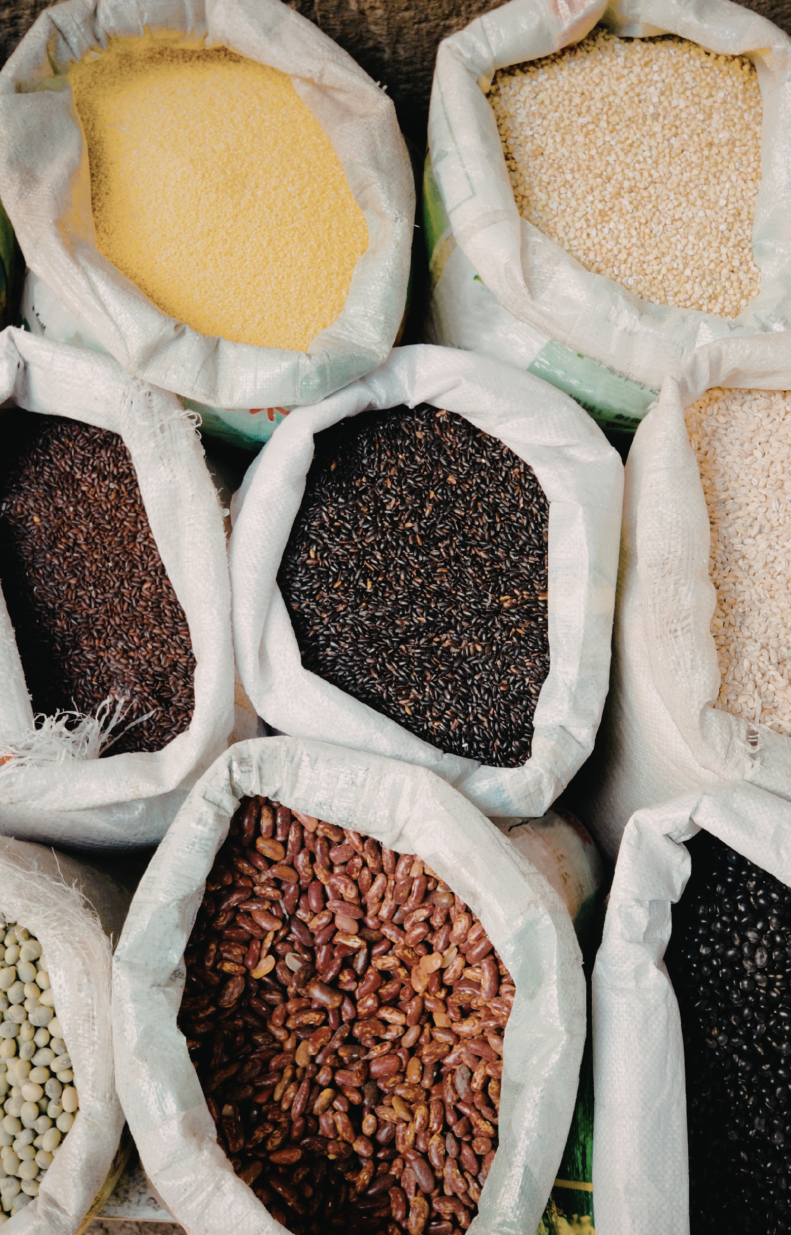 HEAL WITH FOOD (2).png