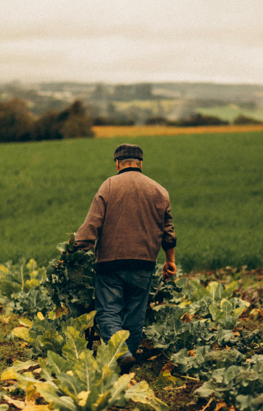 HEAL WITH FOOD (3).png