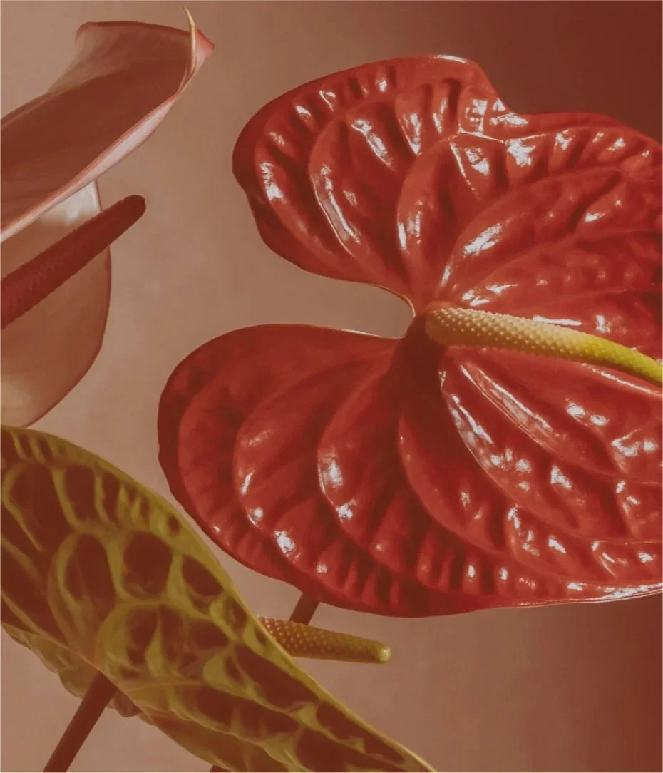 Close-up of decorative artificial anthurium and caladium leaves, featuring shiny, colorful, heart-shaped petals in shades of pink, yellow, and red against a soft background.