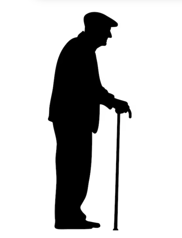 Elderly Functionality Program 3 Sessions Per Week - 4 Weeks