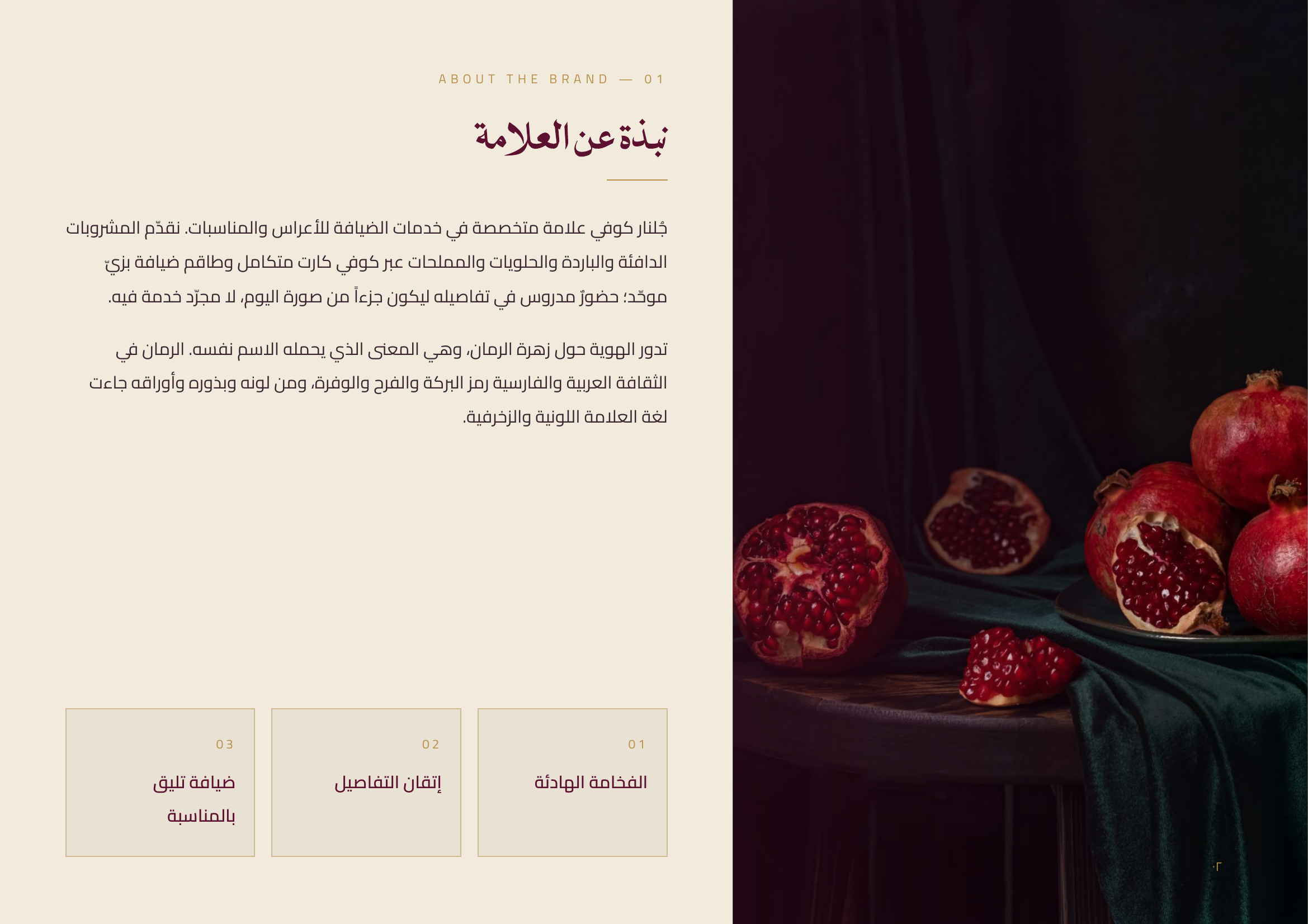 gulnar-brand-guide-page-02.png