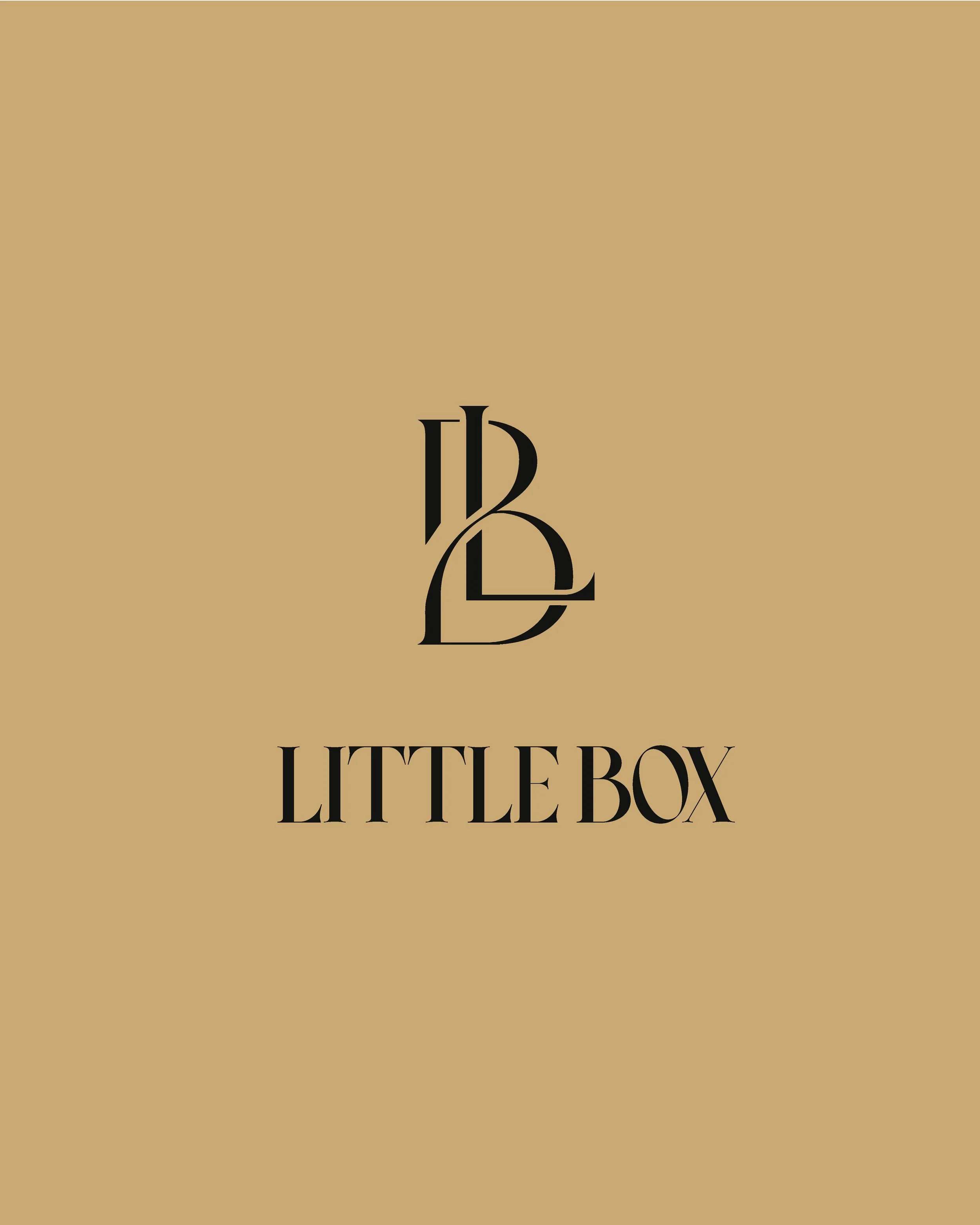 LITTLE BOX LOGO-0٤.jpg