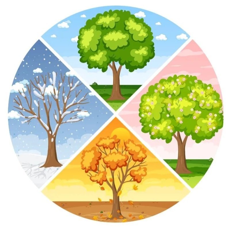 A Time, A Reason, and A Season