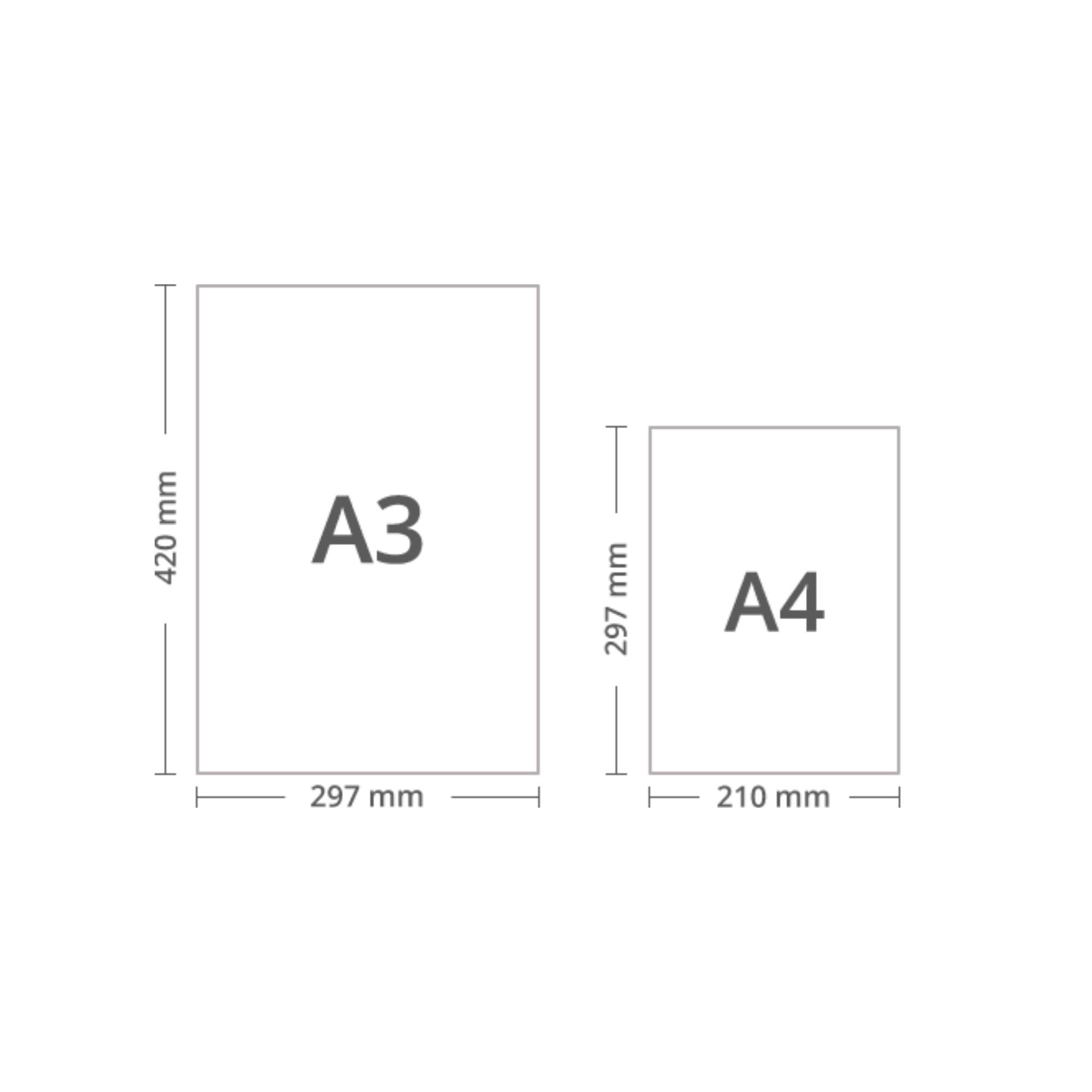 2 sizing.jpg