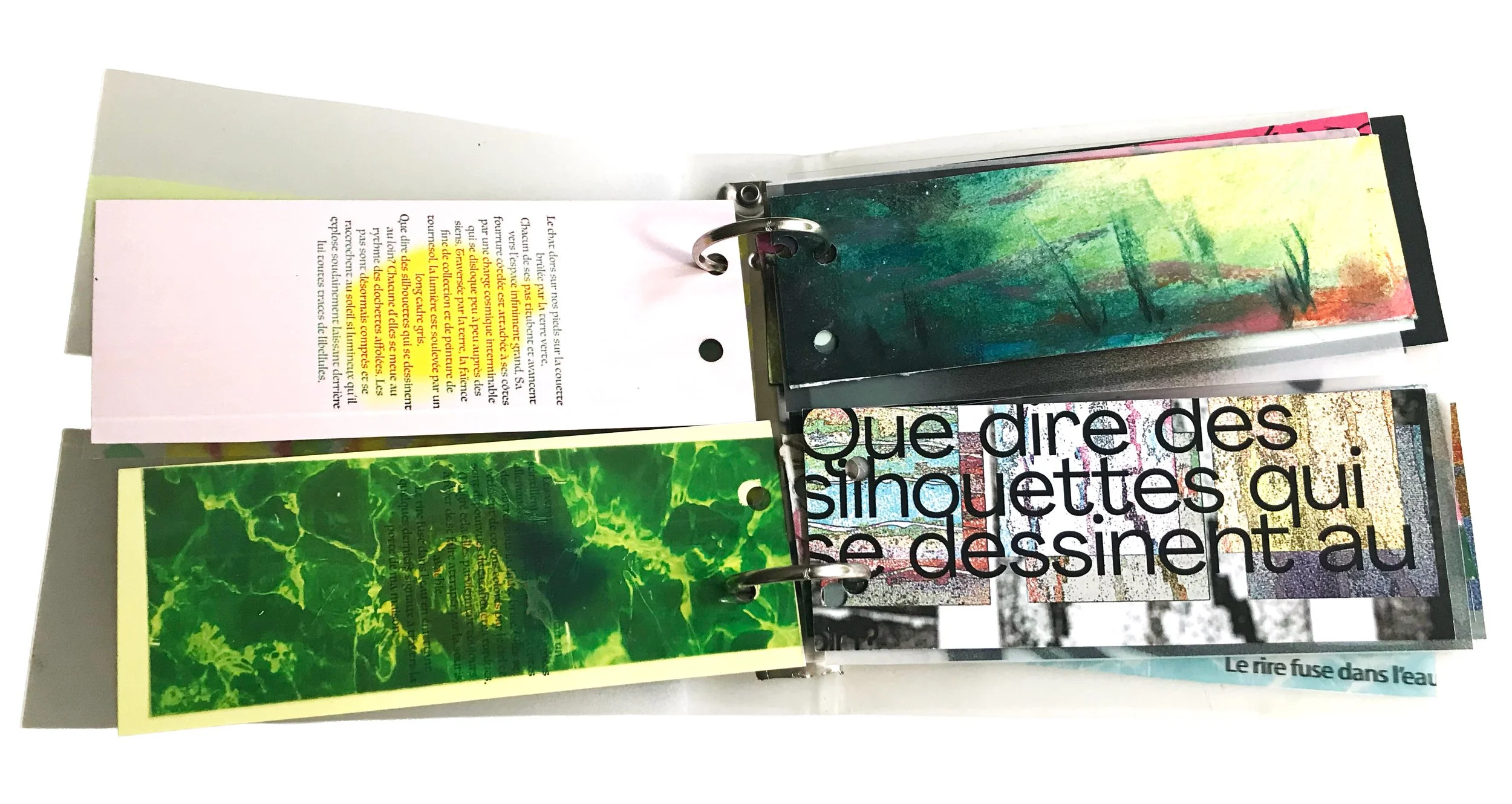 IMG_3832 3.jpg