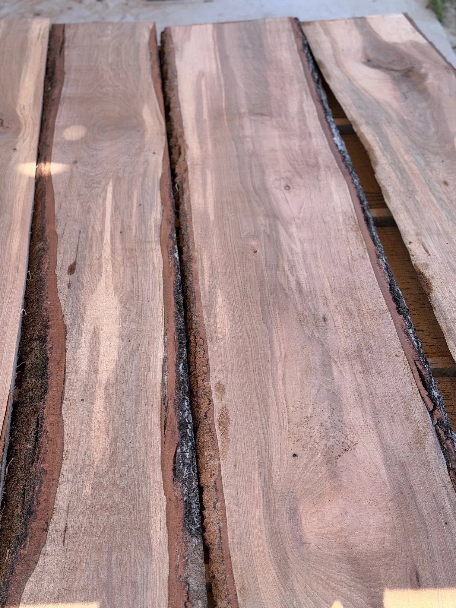 Live Edge Oak.jpeg