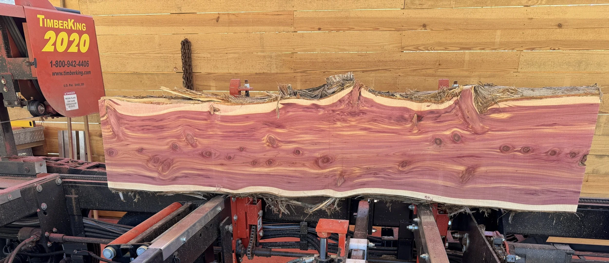 TimberKing Cedar.jpeg