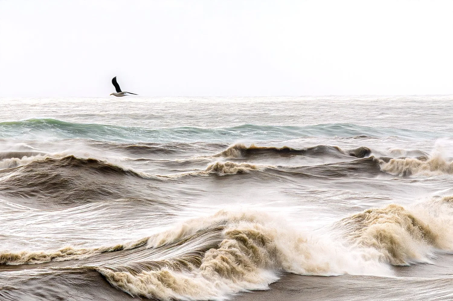 Seabird flying above rough ocean waves.