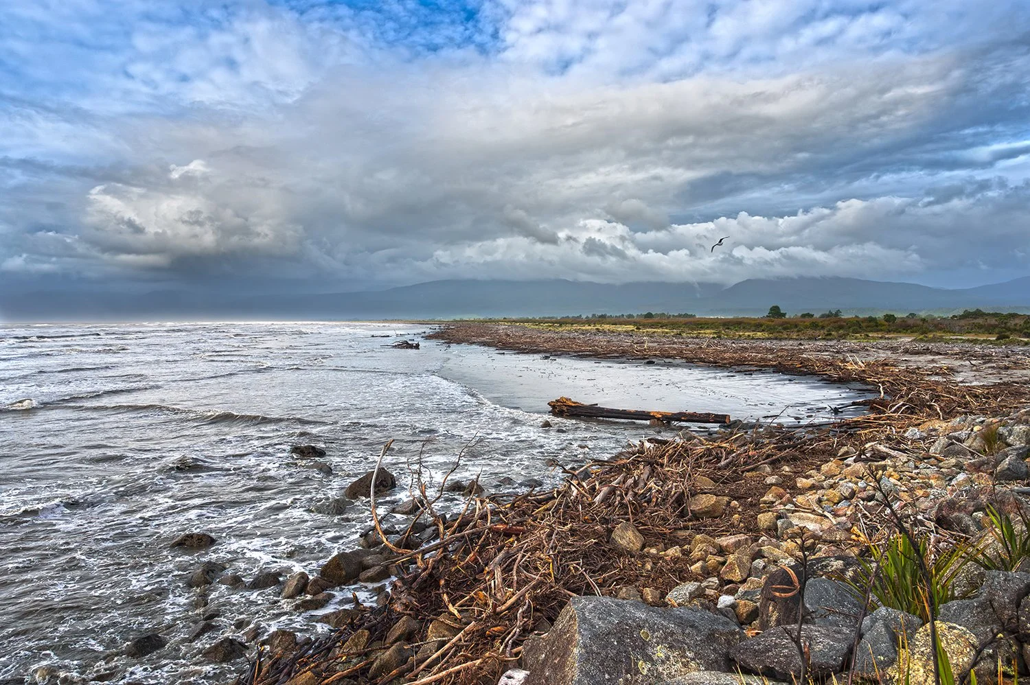 Gathered By Tide