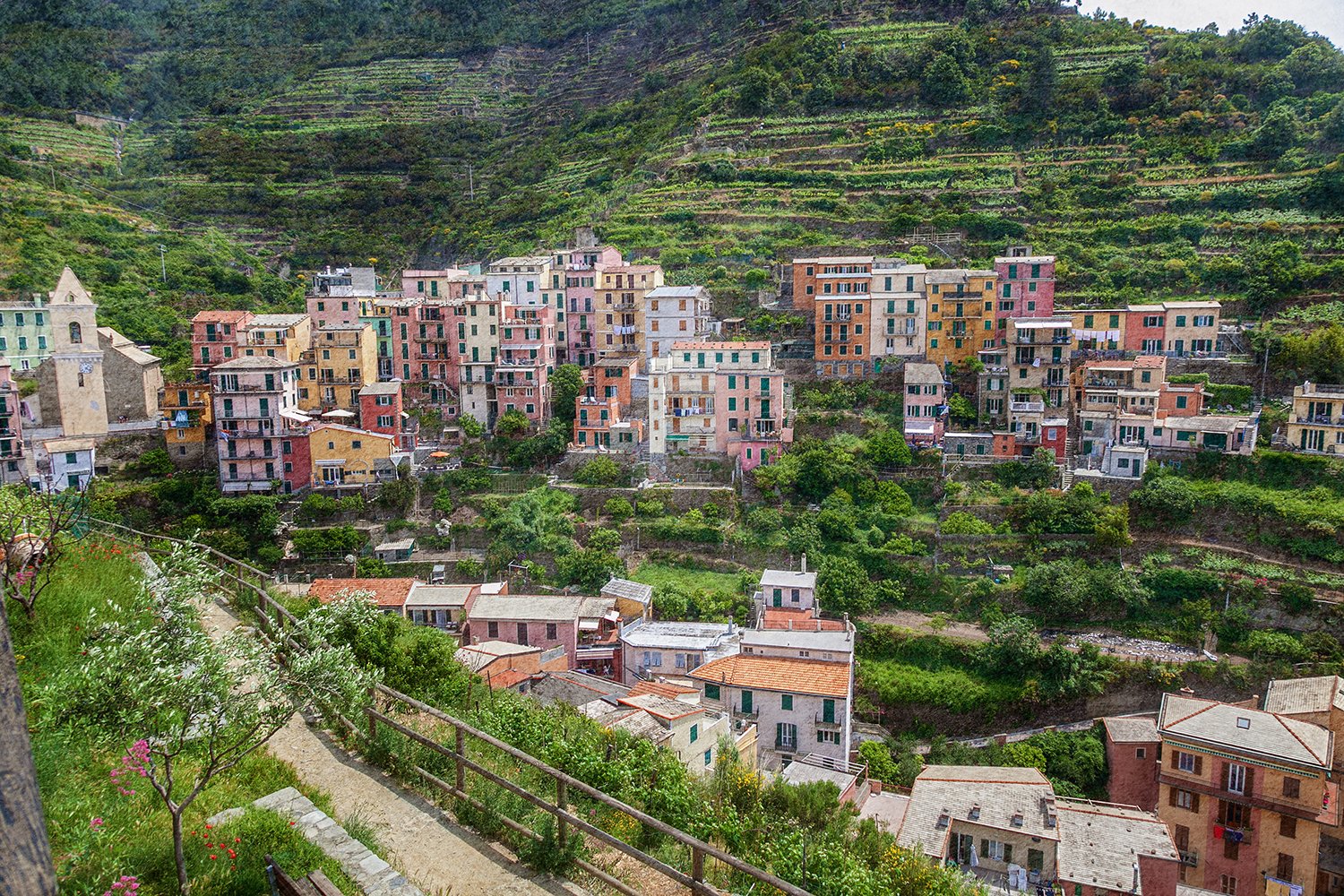 Colourful hillside village in Cinque Terre, Italy.