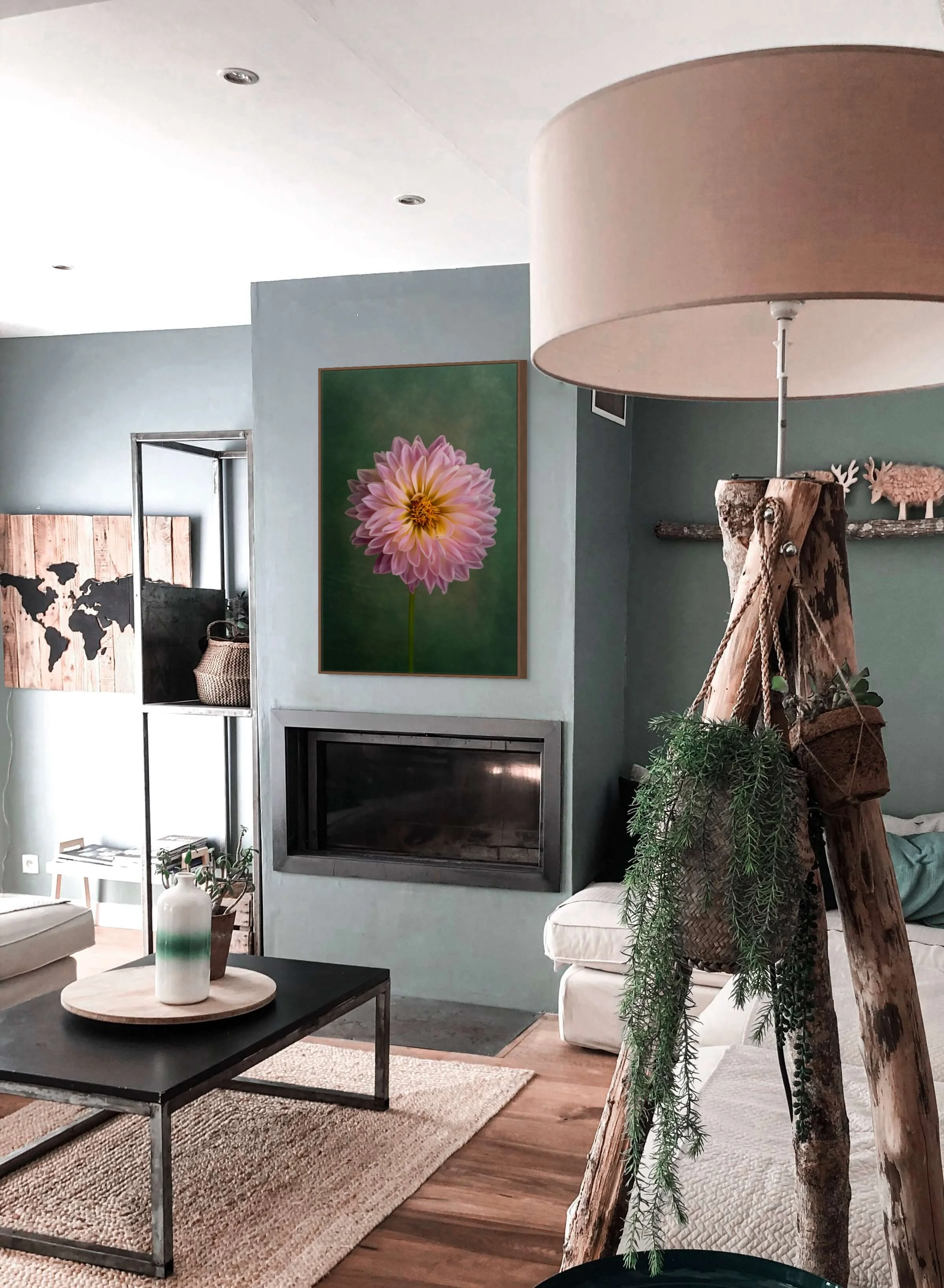 Single pink dahlia flower in close-up fine art botanical photography.