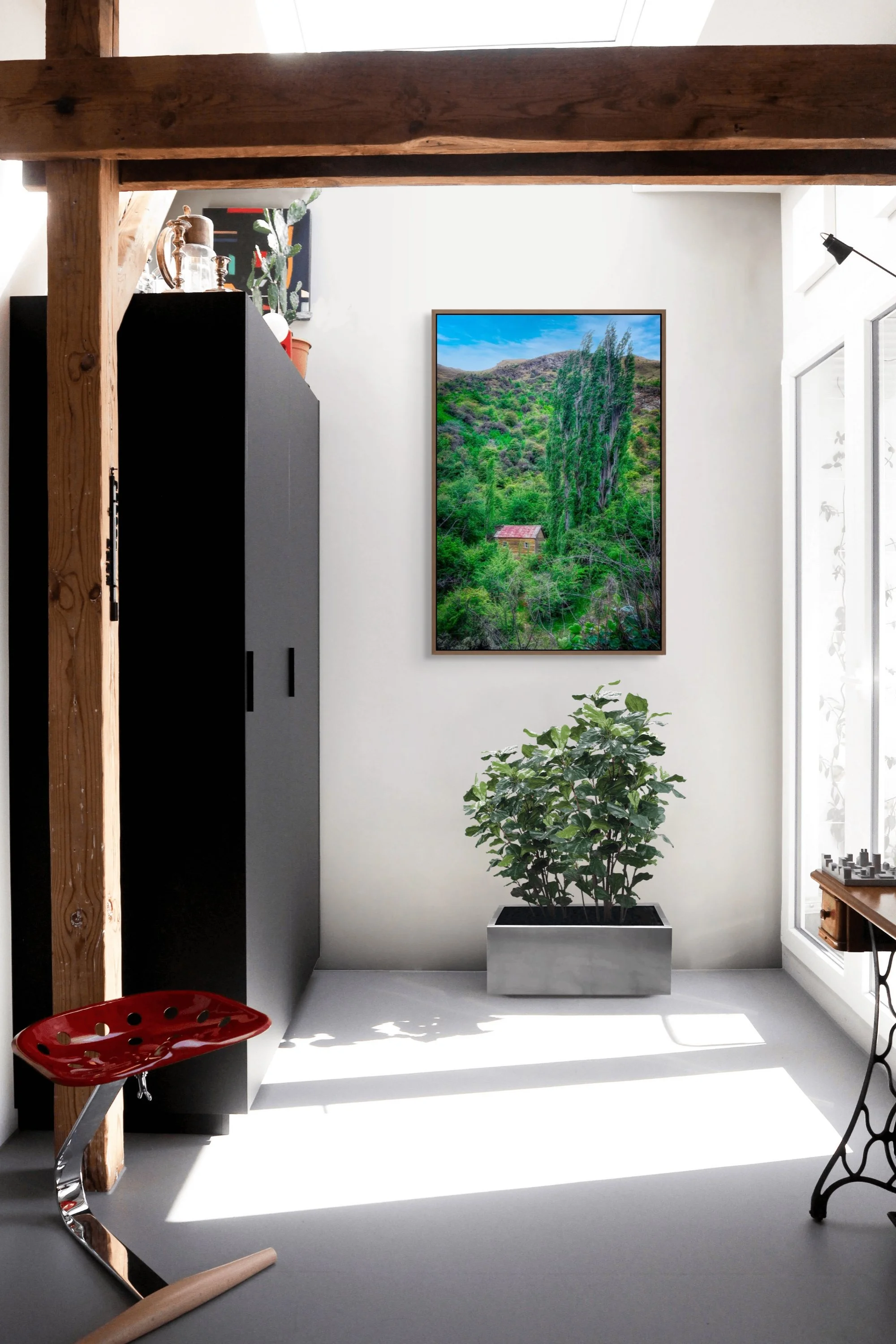 Historic miners hut surrounded by green hillside and tall poplar trees in New Zealand.