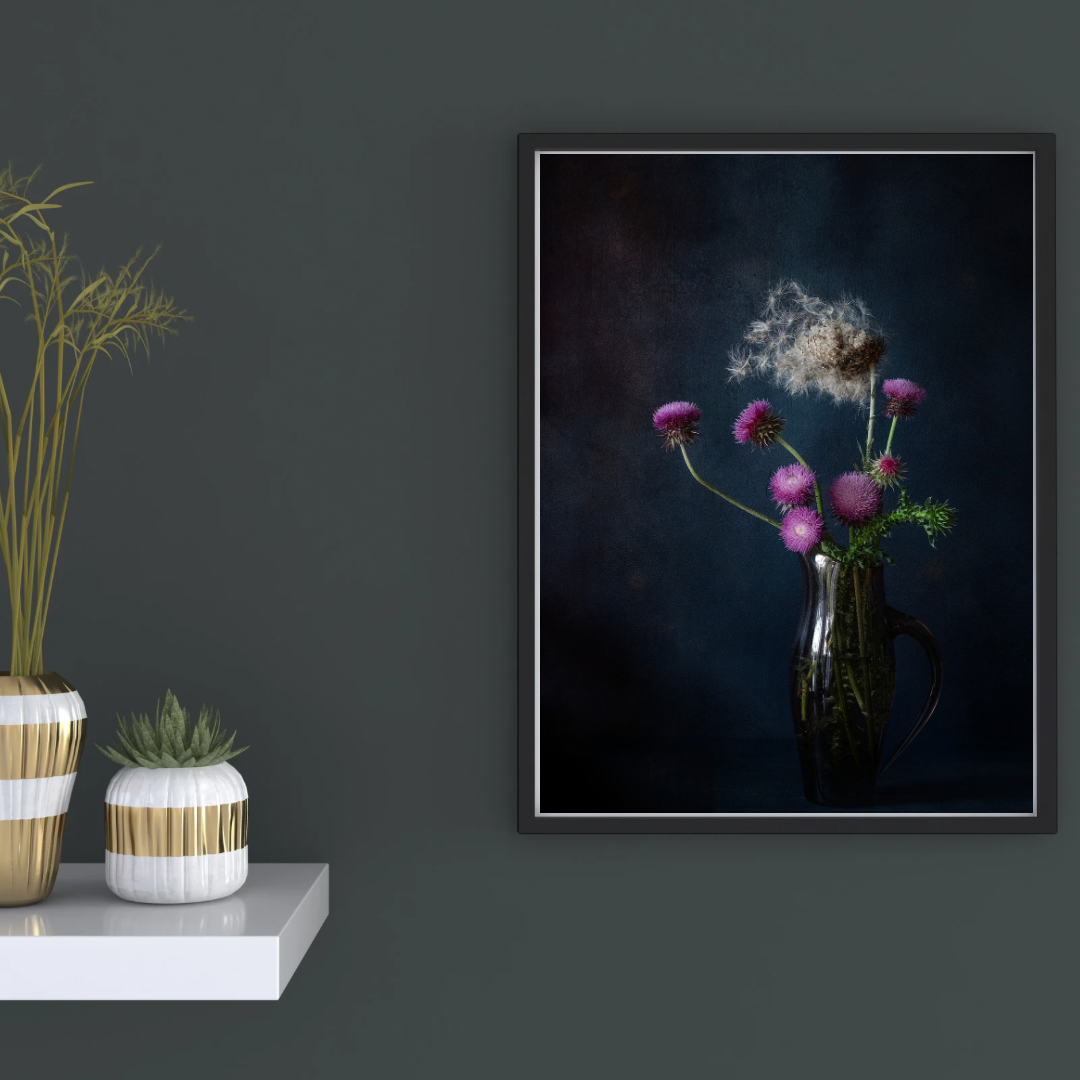 Vibrant purple thistle blooms releases its wispy filaments suspended mid-flight