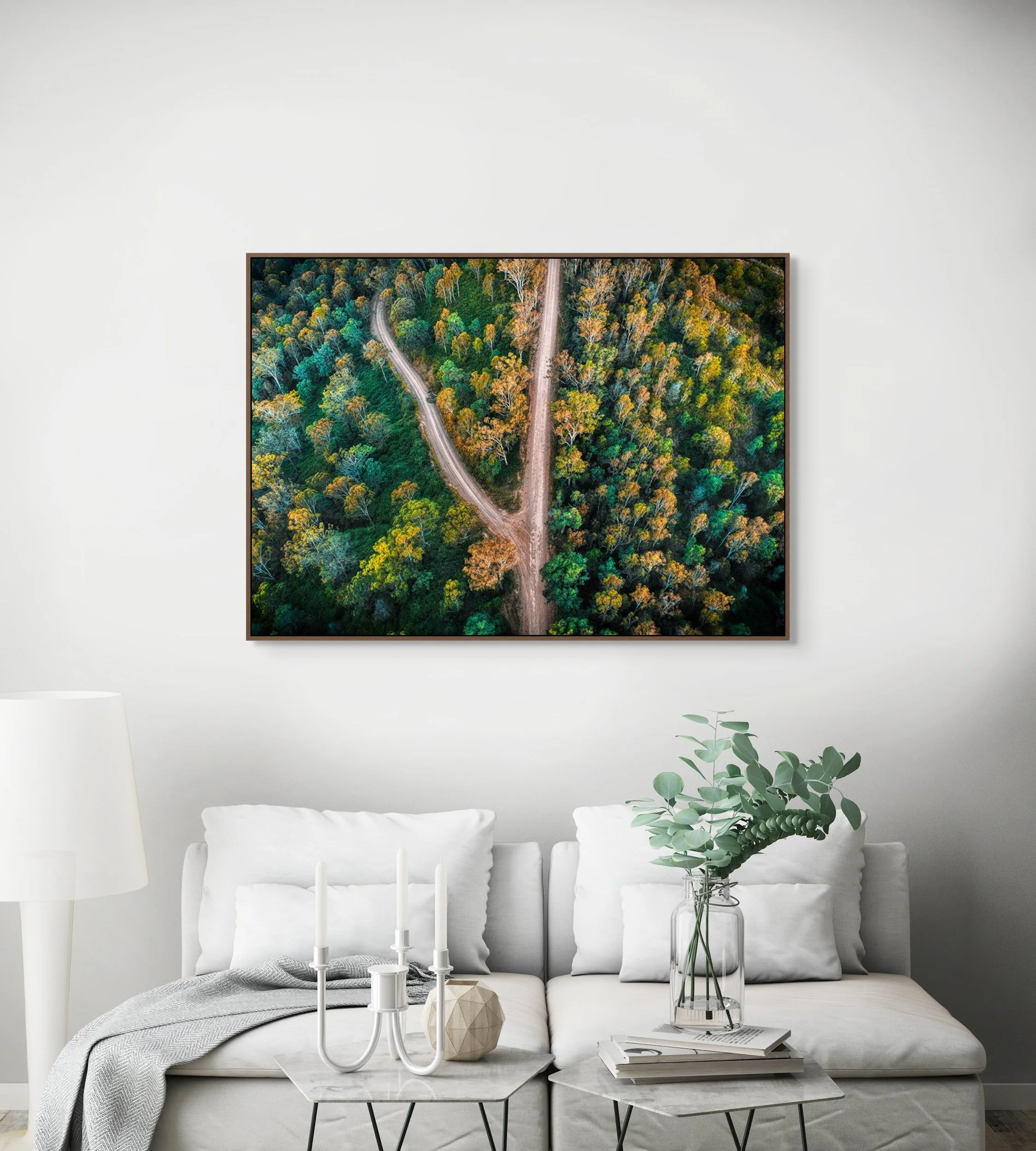 Aerial view of winding dirt roads crossing through green and golden forest trees.