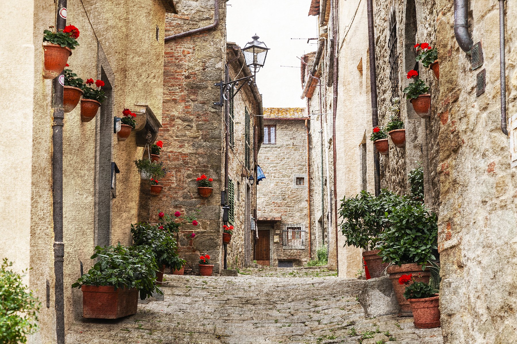 Cobbled street in an Italian village lined with terracotta pots and red geraniums.