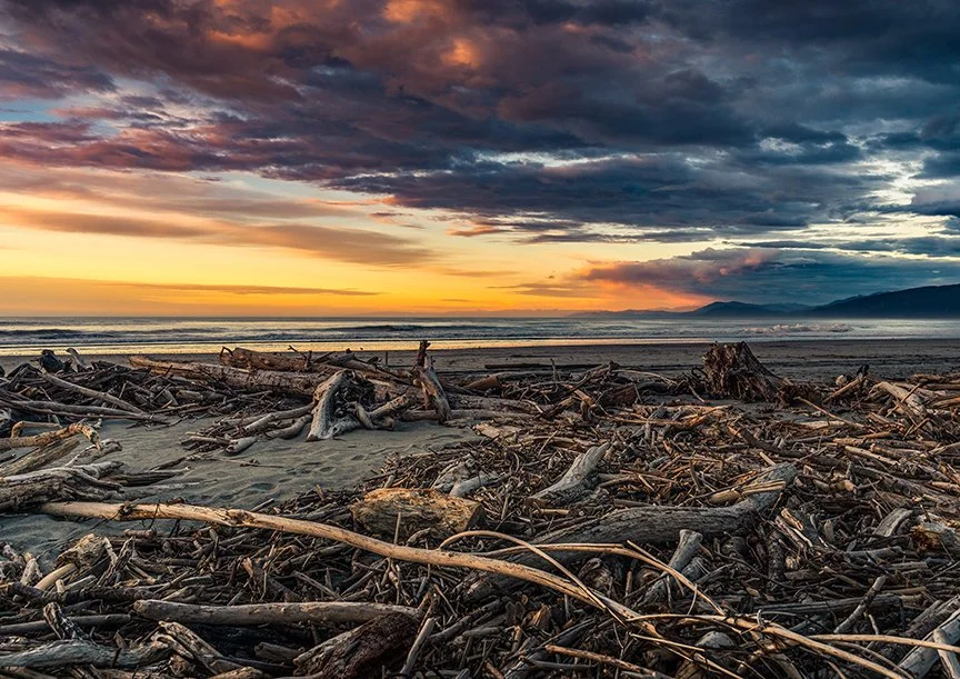 Driftwood scattered across a beach at sunset with mountains on the horizon.