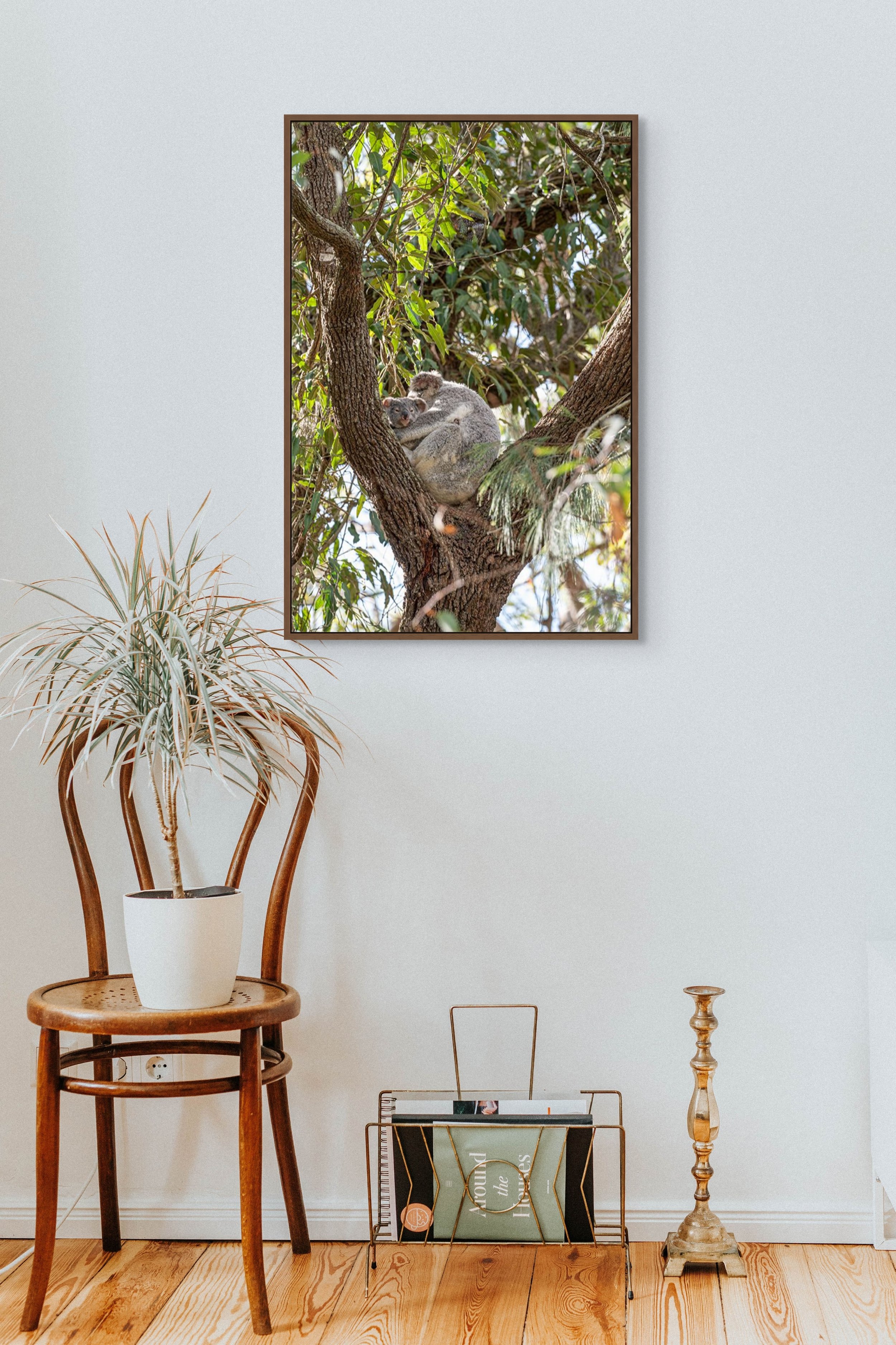 Mother koala holding baby joey in eucalyptus tree in wildlife photography.