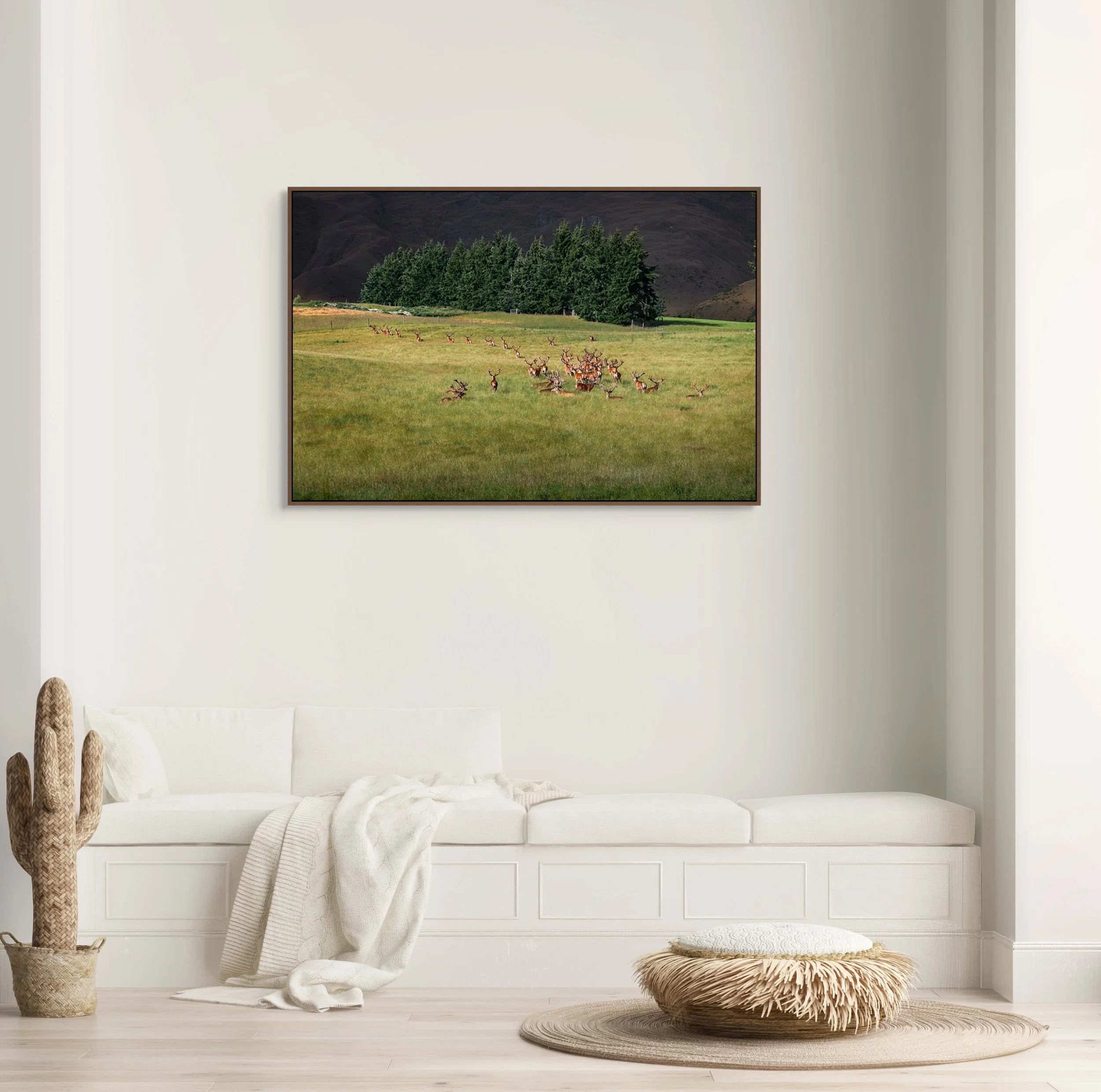 Herd of red deer with antlers walking through grassy field in wildlife landscape.
