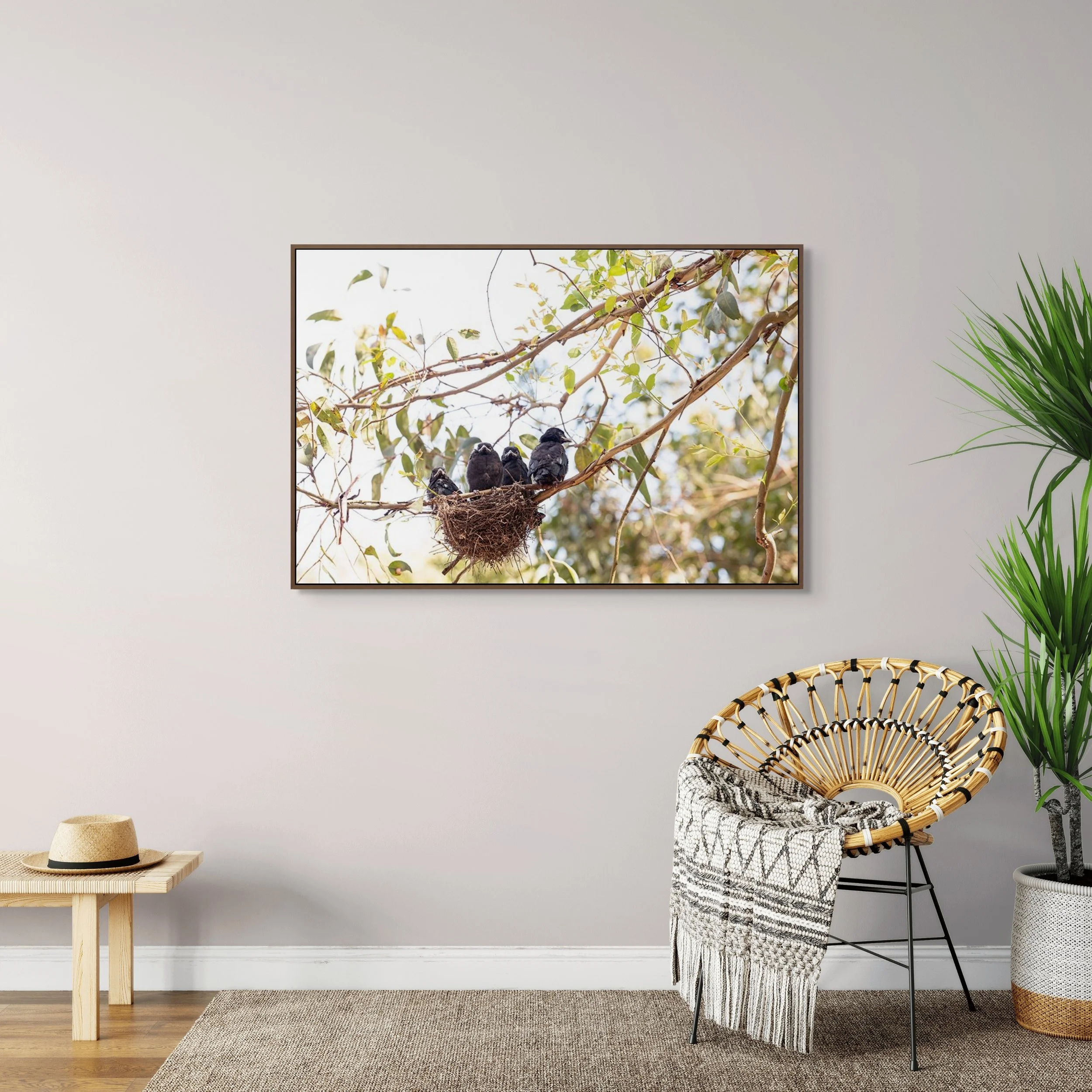 Three baby birds sitting in nest on tree branch in wildlife photography.
