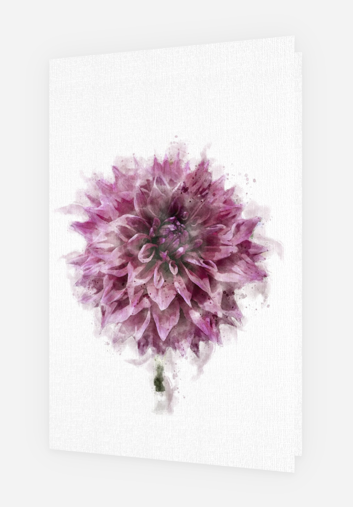 Screenshot 2025-03-16 at 11.42.35 AM.png