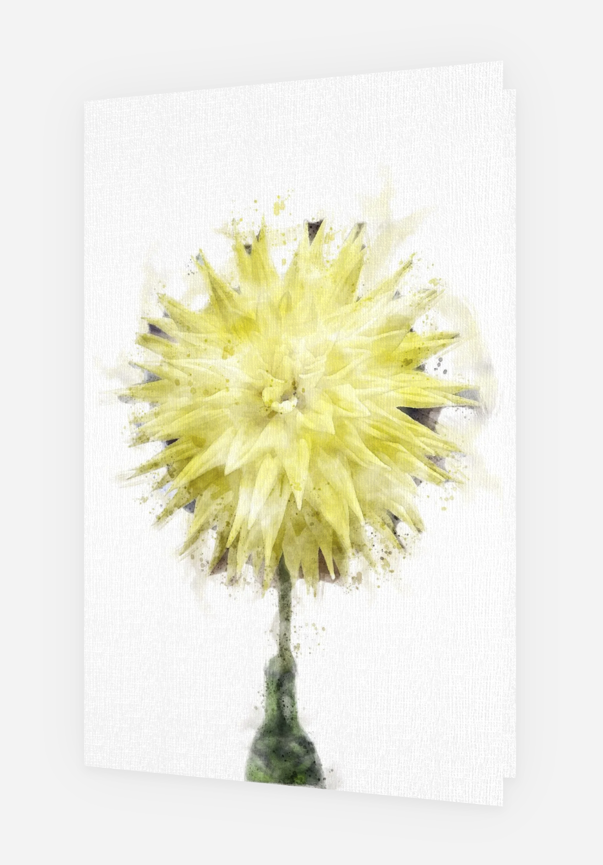 Screenshot 2025-03-16 at 11.47.01 AM.png