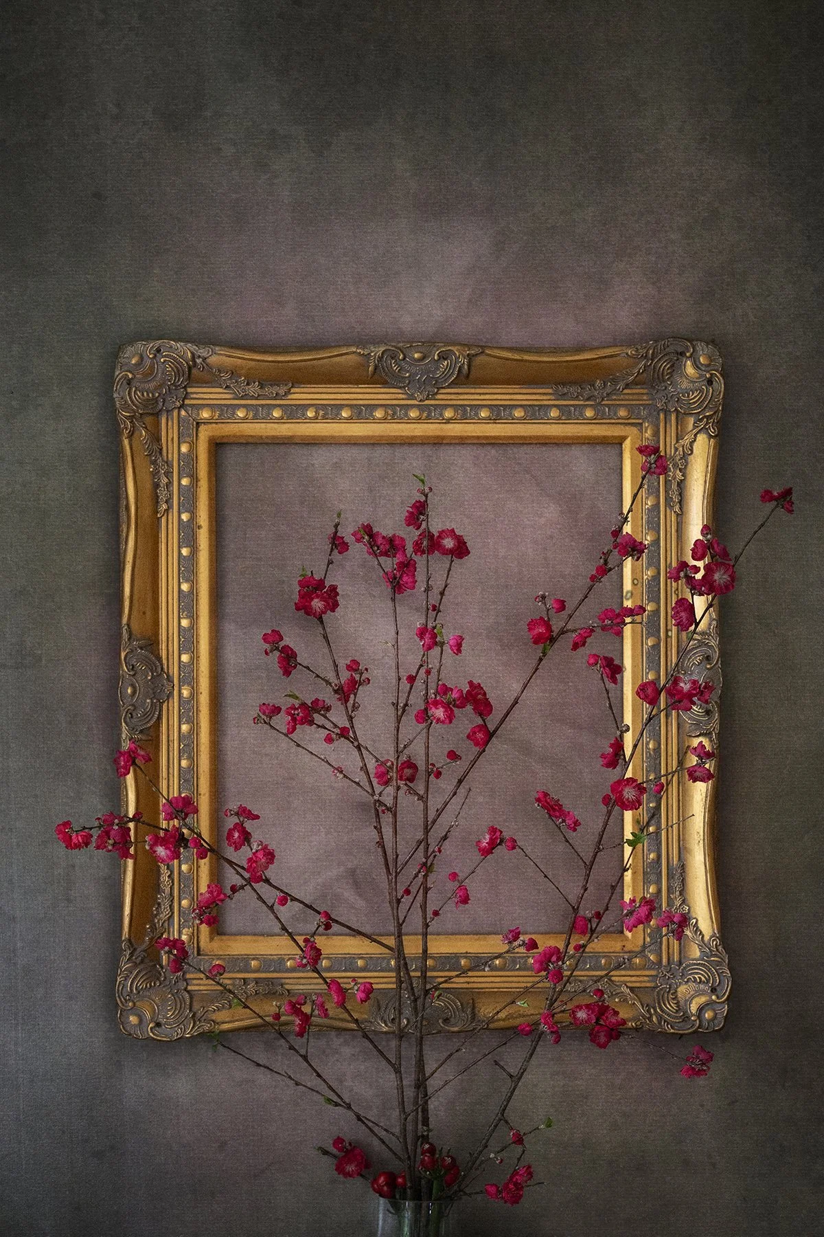 Painterly floral fine art photograph of vivid crimson blossoms reach outward from slender branches, arranged before an ornate antique frame that adds depth and, by From The Field.
