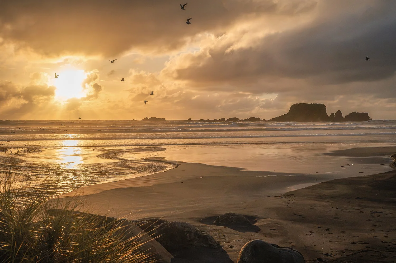 Seabirds flying across a golden sunset above wet sand, ocean waves and distant coastal rock formations.