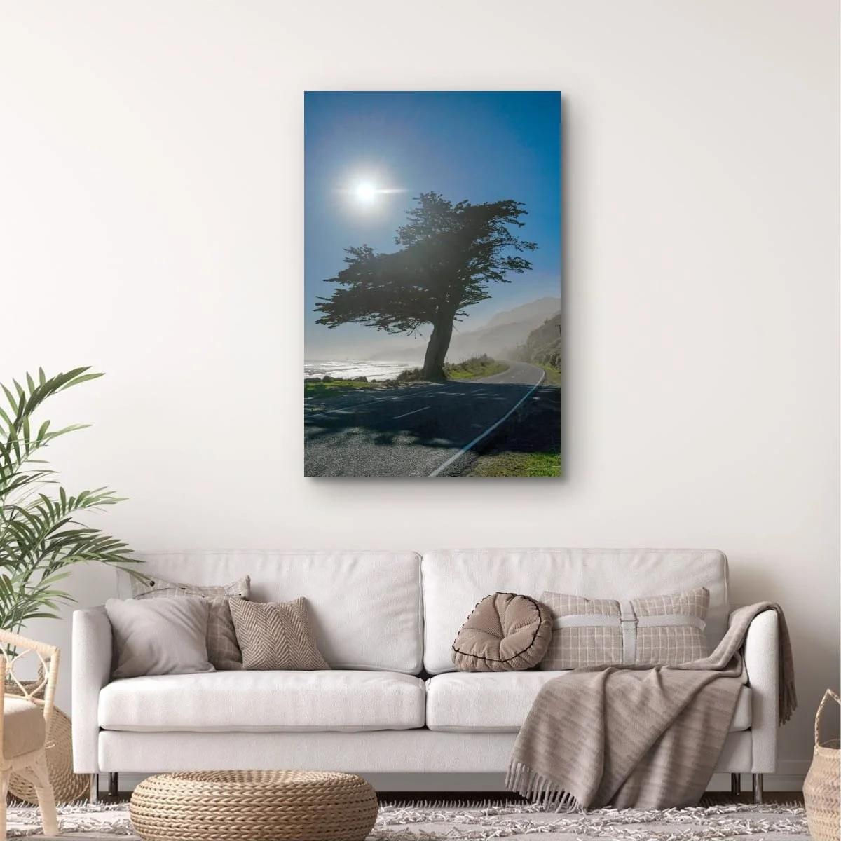 Iconic coastal cypress beside winding Buller coastal road overlooking the Tasman Sea.