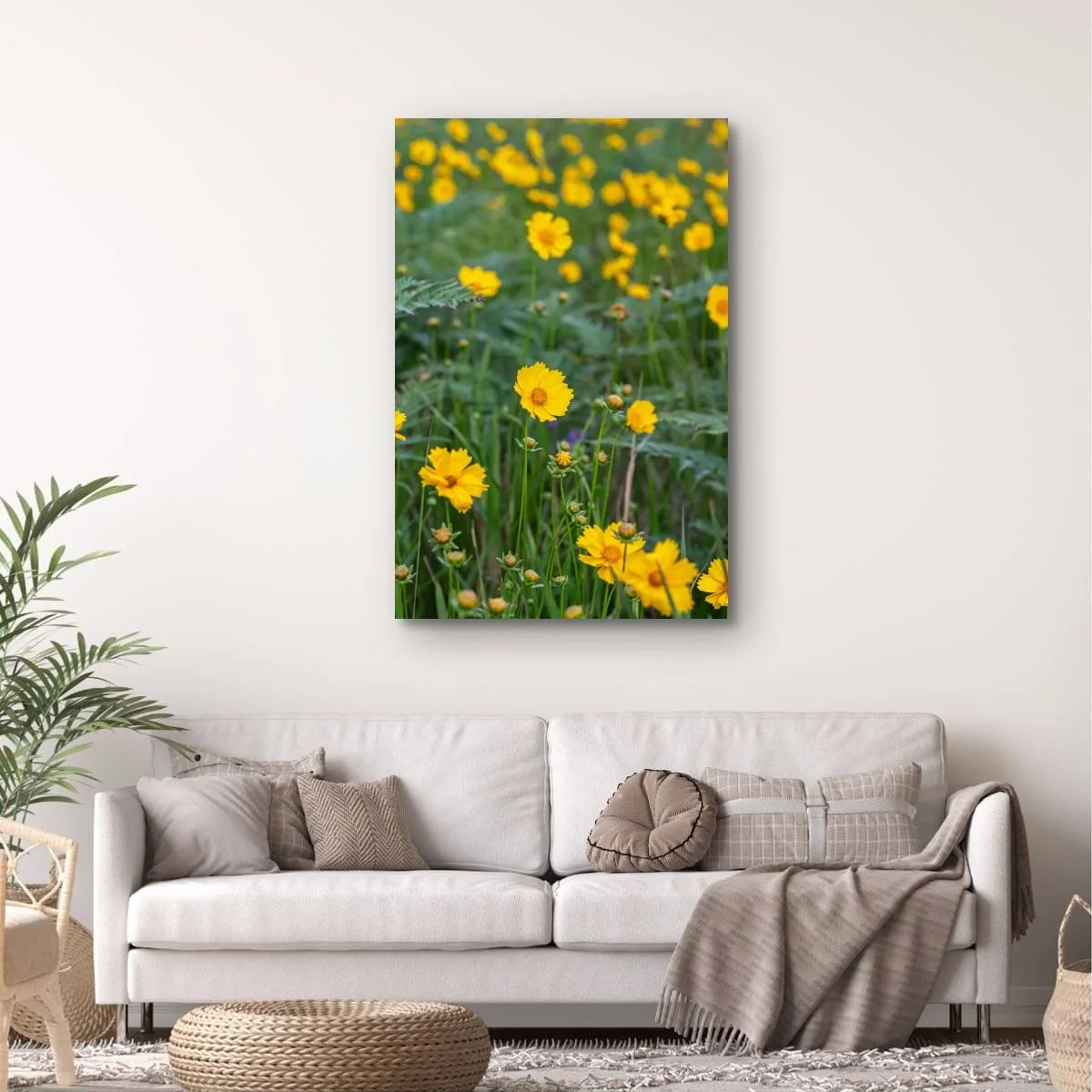 Field of yellow wildflowers blooming beneath soft natural light.