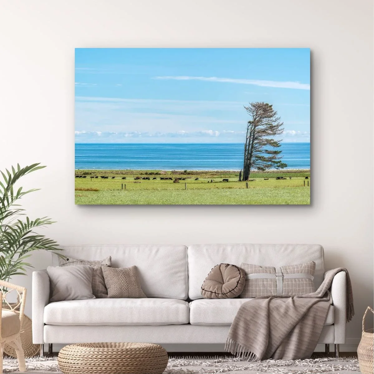 Wind-shaped coastal trees overlooking farmland and ocean views.