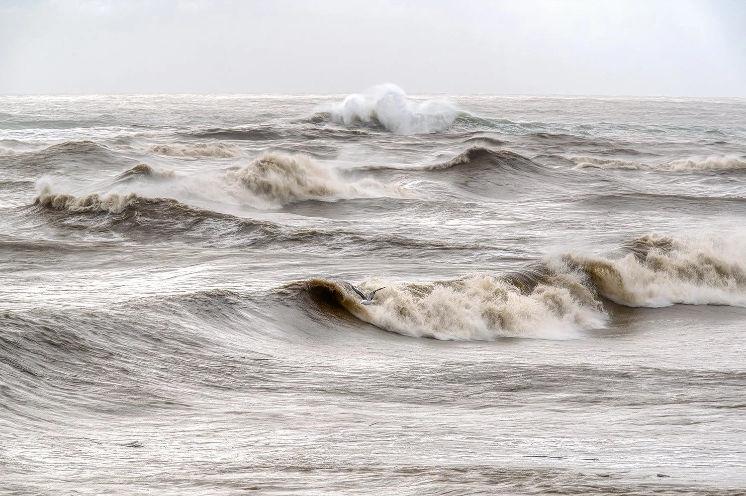 Powerful ocean waves rolling across the West Coast shoreline.